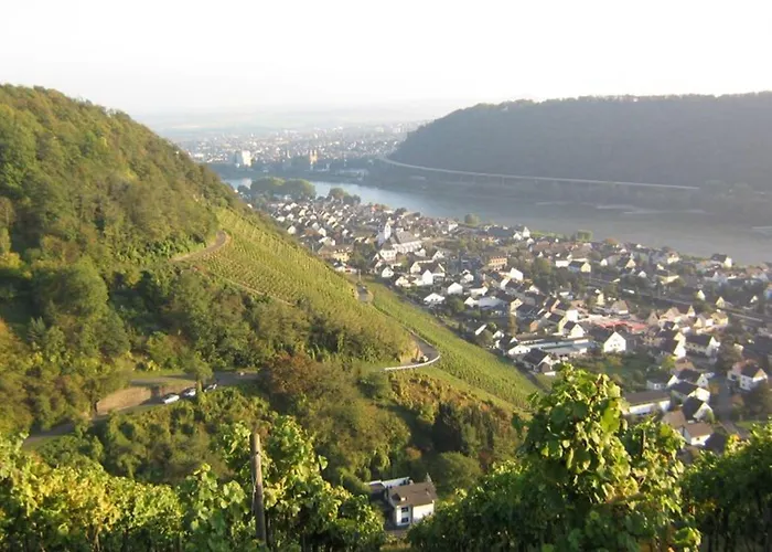 Am Martinsberg 酒店